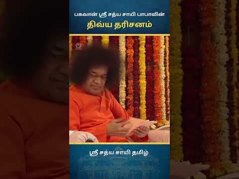 சாயி திவ்ய தரிசனம் | Sai Divine Darshan