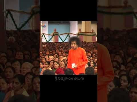దివ్య దర్శనం | Divine Darshan